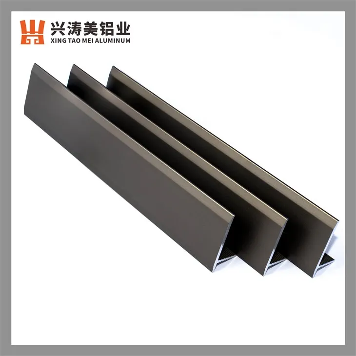 Premium Anodized Floor-to-Wall Transition Skirting
